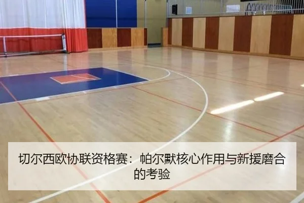 qie-er-xi-ou-xie-lian-zi-ge-sai-pa-er-mo-he-xin-zuo-yong-yu-xin-yuan-mo-he-de-kao-yan-3-646.jpg