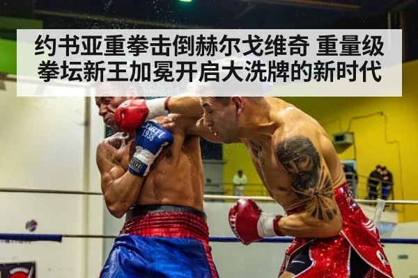 约书亚重拳击倒赫尔戈维奇 重量级拳坛新王加冕开启大洗牌的新时代